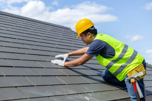 Best Solar Panel Roofing Installation  in Granvle, IL